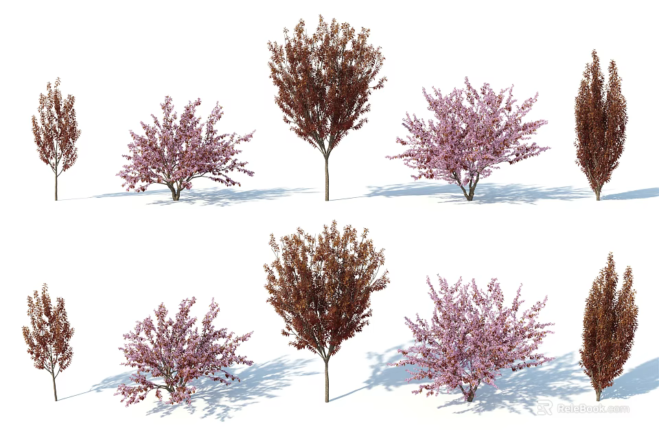 Flowering Ornamental Shrubs with Pink Blossoms Brown Leaves and Various Heights 3d model 