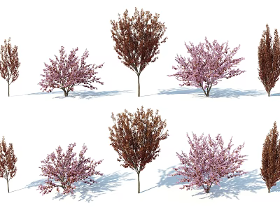 Flowering Ornamental Shrubs with Pink Blossoms Brown Leaves and Various Heights 3d model