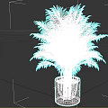 Lush Green Palm Plant With Feathery Leaves In Black Ceramic Pot