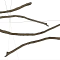 Natural Dry Wooden Branches for Rustic Home Decor Craft Projects