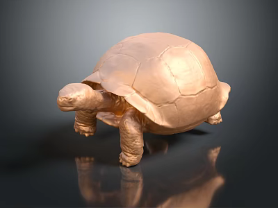 Decorative Ornament Set Featuring Golden Tortoise Figure With Shiny Surface For Home Decor 3d model