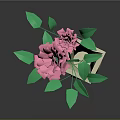 Tall White Vase With Pink Flowers Green Leaves And Stem
