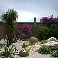 Lush Garden Landscape Featuring Cactus Purple Flowers Stones And Various Plants