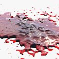 Blood Blood Blood Stain Blood Stain Liquid Water Stain Blood Terror 3d model