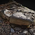 Wood And Stone Natural Materials With Rough Texture In Outdoor Scenery Elements