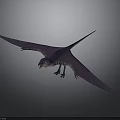 Purple And Blue Pterosaur 3D Model With Large Spread Wings And Detailed Texture