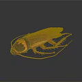 Reddish Brown Cockroach With Black And Yellow Patterned Head On Dark Background 3d model