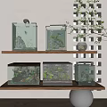 Stylish Indoor Aquarium Fish Tanks on Wooden Shelves with Aquatic Plants and Small Fish