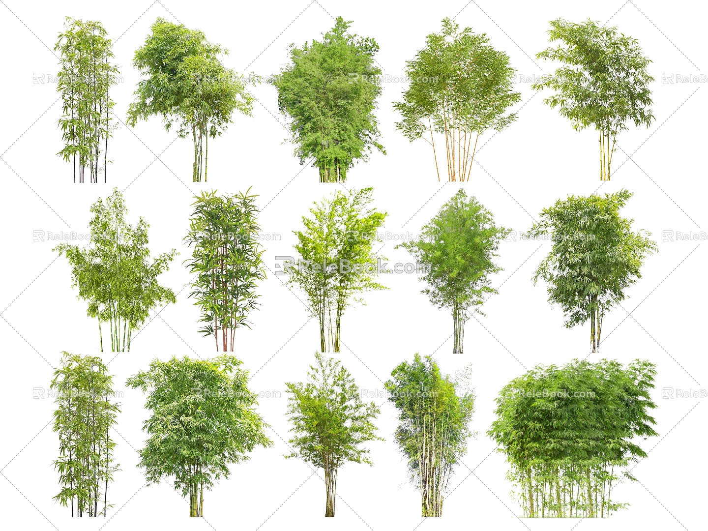 2D Bamboo Courtyard Garden Bamboo Landscape Bamboo Luohan Bamboo Green Bamboo Garden Forest Bamboo 3d model