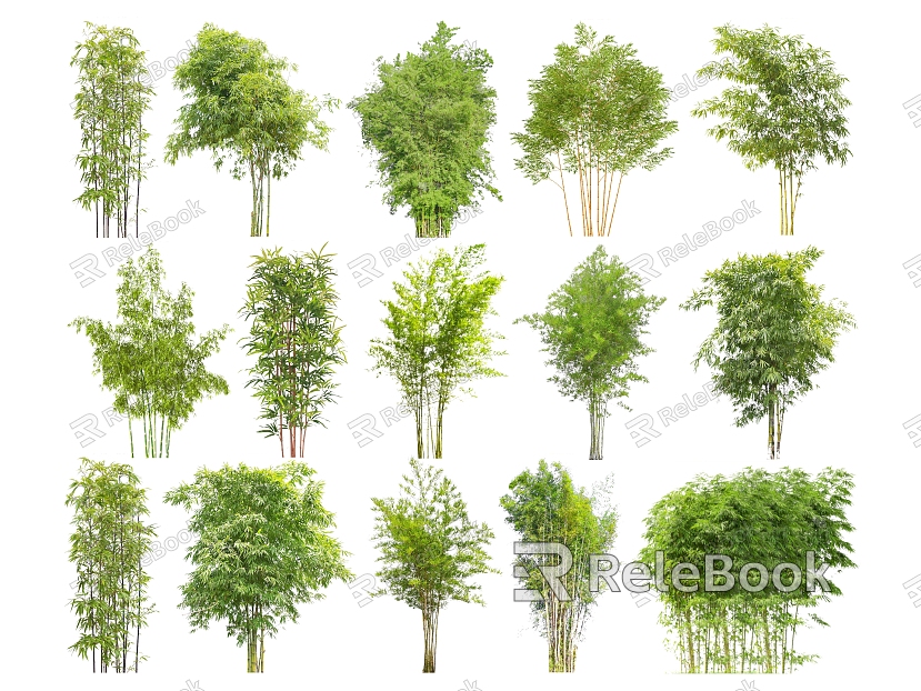 2D Bamboo Courtyard Garden Bamboo Landscape Bamboo Luohan Bamboo Green Bamboo Garden Forest Bamboo model