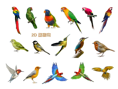 Colorful 2D Animal Bird Hanging Decor with Various Parrot and Sparrow Styles 3d model