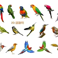 Colorful 2D Animal Bird Hanging Decor with Various Parrot and Sparrow Styles