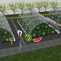 Garden Landscape Featuring Transparent Greenhouses With Watermelon And Vegetable Plants Pathway And Grass