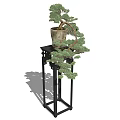 Elegant Bonsai Plant in Clay Pot on Black Stand with Lush Green Foliage