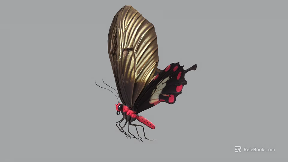 Detailed Butterfly with Golden Wings Intricate Patterns Black Body Red Spots and Pointed Tail 3d model 