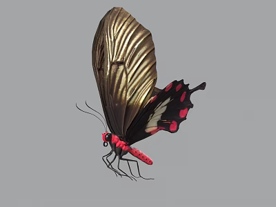 Detailed Butterfly with Golden Wings Intricate Patterns Black Body Red Spots and Pointed Tail 3d model