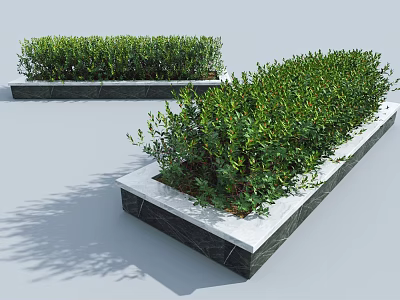 Green Leafy Shrubs Arranged In Rectangular Stone Planters For Outdoor Garden Landscape 3d model