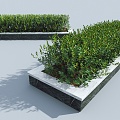 Modern bush flower bed flower table 3d model