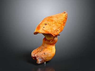 Crispy Roasted Orange Yellow Mushroom With Unique Shape And Delicious Taste 3d model