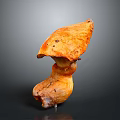 Crispy Roasted Orange Yellow Mushroom With Unique Shape And Delicious Taste