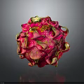 Fresh Pink Dragon Fruit with Green Leafy Tips and Textured Skin on Dark Reflective Background