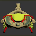 3D Rendered Spinal Column Structure Showing Vertebrae Discs And Nerves