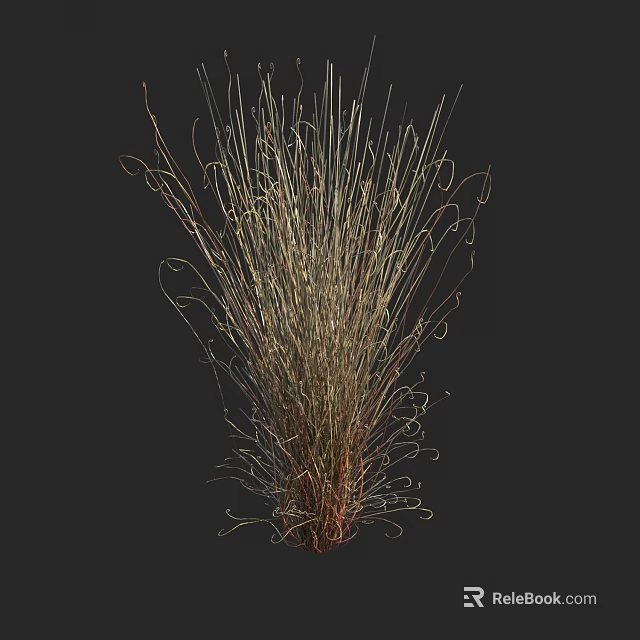 Ornamental Grass with Slender Curved Leaves Brown Green Mixed Tones Fluffy Natural Shape 3d model 