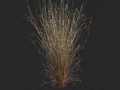 Ornamental Grass with Slender Curved Leaves Brown Green Mixed Tones Fluffy Natural Shape 3d model