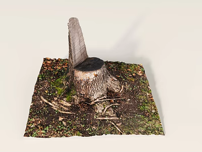 Natural Tree Stump With Moss And Twigs On Forest Ground Surface 3d model