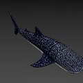 Spotted Black and White Whale Shark Game and Movie Character Marine Creature Design