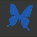 Red Brown Butterfly With White Spots Orange Blue Eyespots And Stripes On Reflective Background