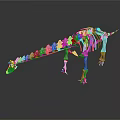 Purple Dinosaur Skeleton 3D Model With Colorful Head And Intricate Bone Structure 3d model