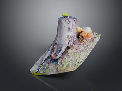 Wooden Stone Decorative Art With Tree Stump Small Sprout And Mossy Stones 3d model