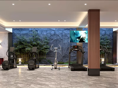 Modern Fitness Gym With Treadmills Elliptical Machines Stone Wall Bamboo Decor And TV Screen 3d model