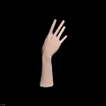 Human Hands And Arms With Open Palms Fingers Spread In Upward Position