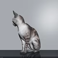 Gray and White Cat Sitting Gracefully on Smooth Surface Against Light Wall 3d model
