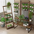 Wooden Plant Stands With Multi Tiered Design Displaying Various Green Potted Plants