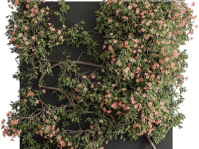 Modern Vine Outdoor Pomegranate Flower Plant Wall Vine Climbing Wall Plant Pomegranate Green Plant Wall model