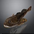 Detailed Brown Spotted Grouper Fish With Blue Eyes And Textured Skin