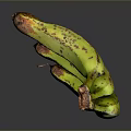 Fresh Bunch of Green Bananas with Brown Spots on Dark Background