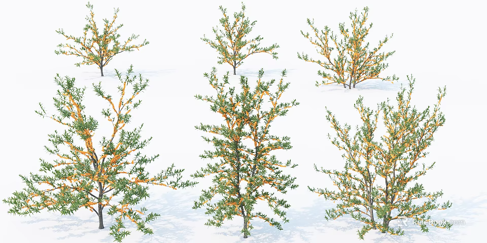 Multiple Arbor Trees With Green And Orange Foliage In Various Shapes 3d model