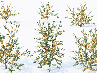 Modern Trees Trees 3d model