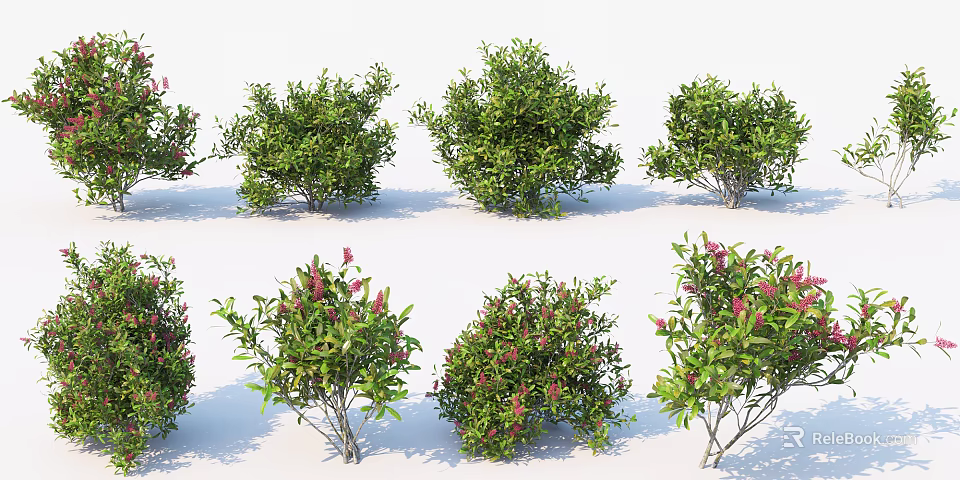 Green Leafy Shrubs With Pink Flowers In Various Shapes For Garden Landscaping 3d model 