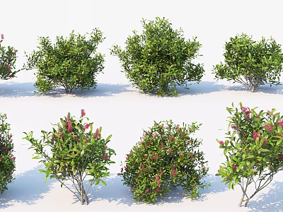 Green Leafy Shrubs With Pink Flowers In Various Shapes For Garden Landscaping 3d model