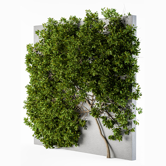 Modern Plant Wall 3d model