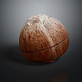 Fresh Whole Coconut Fruit with Natural Brown Husk and Smooth Surface