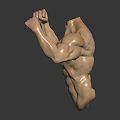 Medical Device Anatomical Torso Model Headless Muscular Structure with Flexed Arms Displaying Muscles Dark Background