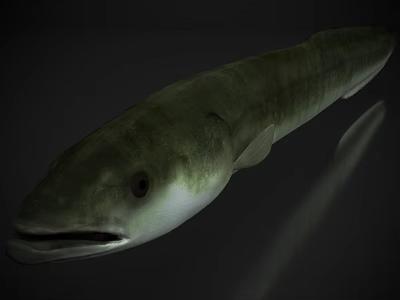 Green Aquatic Fish with Long Streamlined Body Open Mouth and Visible Eyes in Natural Habitat 3d model