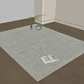 Soft Neutral Square Rug on Wooden Floor with Open Book and Vase