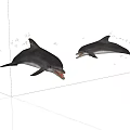 Two Dolphins Jumping Gracefully In Mid Air Showing Aquatic Animal Beauty